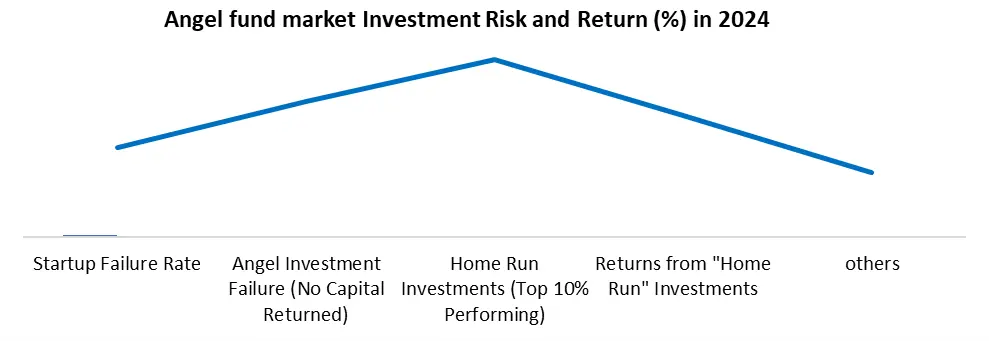 Angel Funds investment risk and return