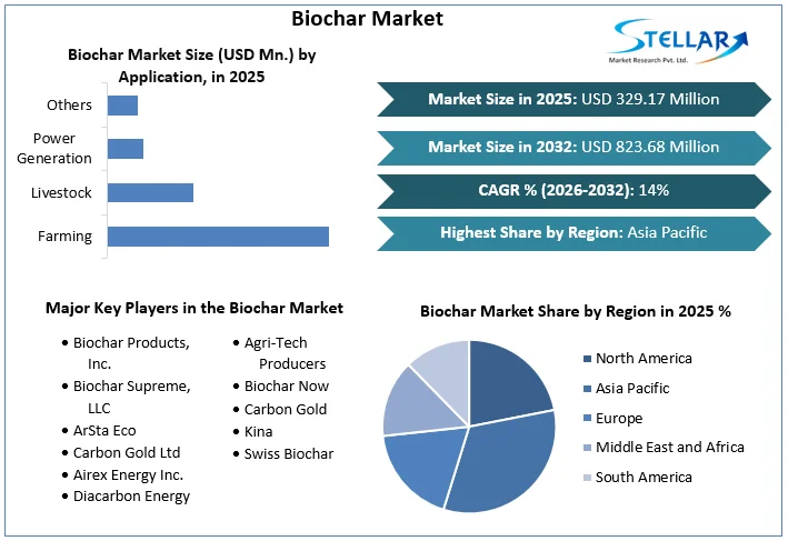 Biochar 시장 통계