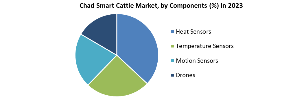 Chad Smart Cattle Market