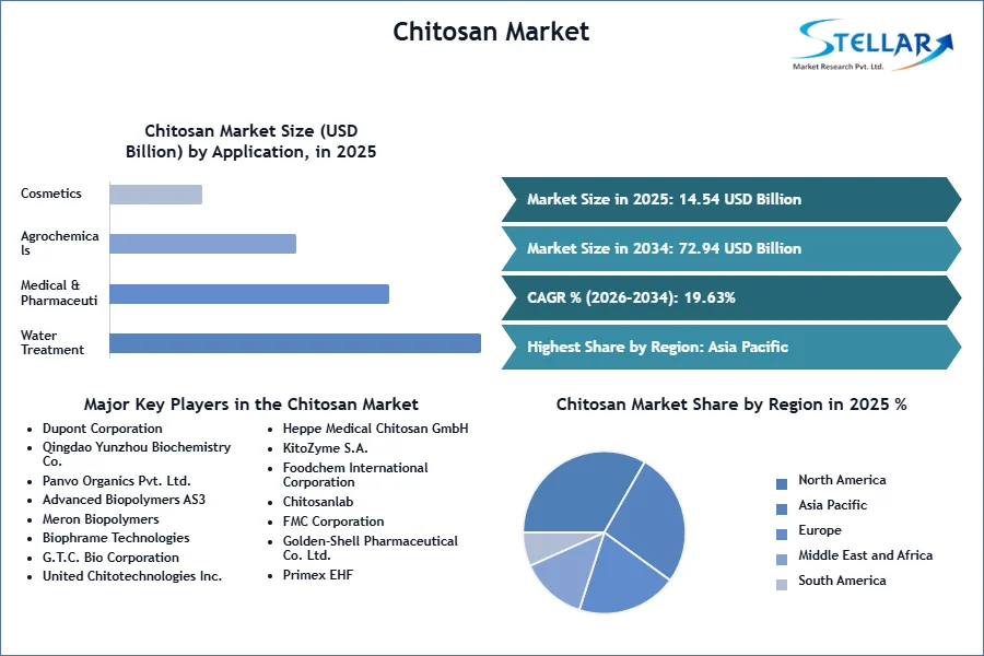 Chitosan Market SMR Snapshot