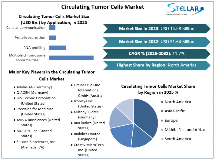 Circulating Tumor Cells Market overview