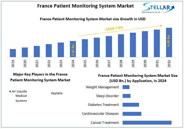 France Patient Monitoring System Market snapshot
