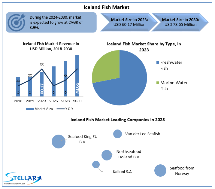 Iceland Fish Market