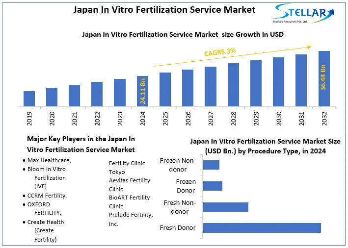 Japan In Vitro Fertilization Service Market snapshot
