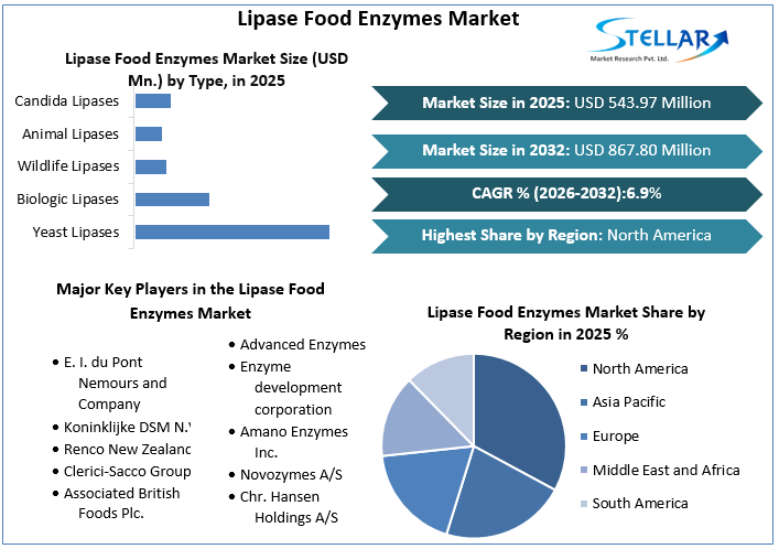 Lipase Food Enzymes 시장 개요