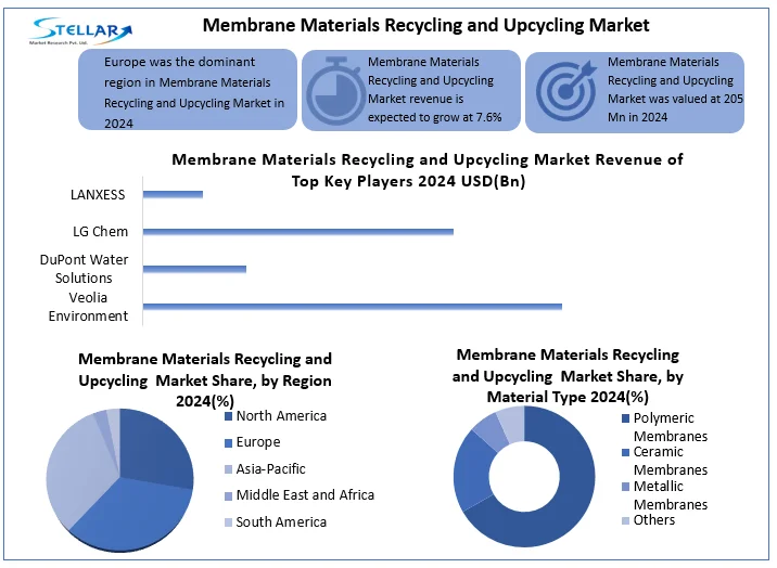 Membrane Materials Recycling Market snapshot