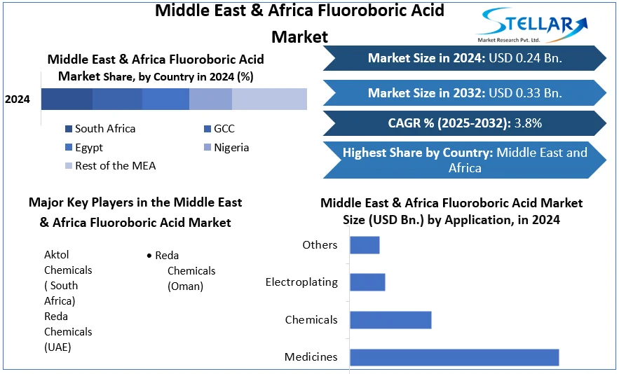Middle East & Africa Fluoroboric Acid Market snapshot