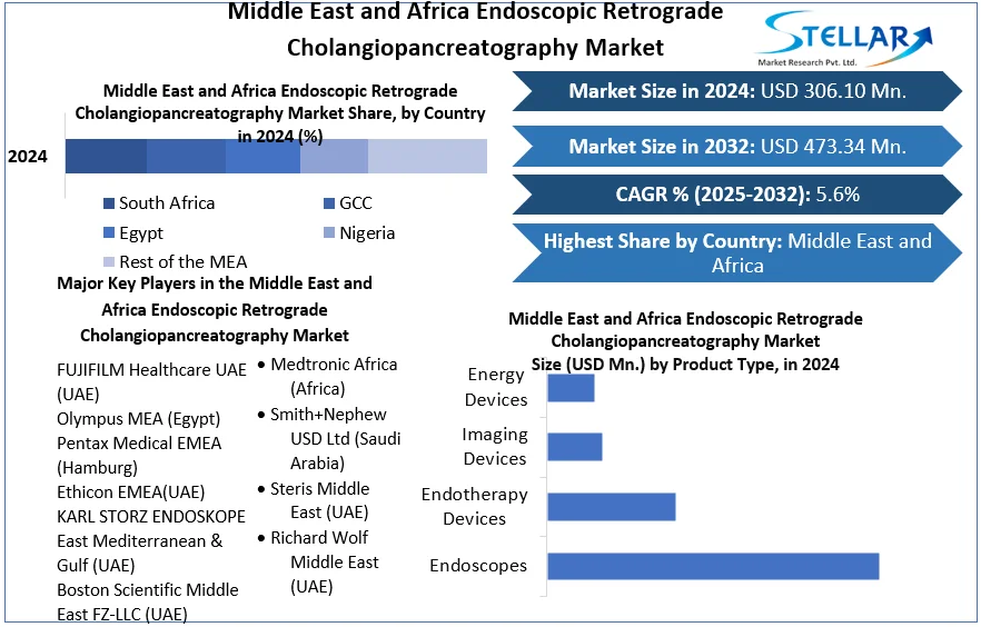 Middle East and Africa Endoscopic Retrograde Cholangiopancreatography Market snapshot