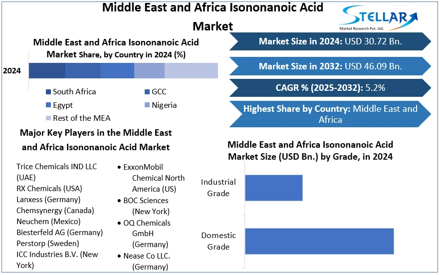 Middle East and Africa Isononanoic Acid Market snapshot