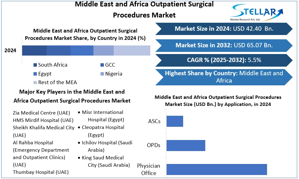 Middle East and Africa Outpatient Surgical Procedures Market snapshot