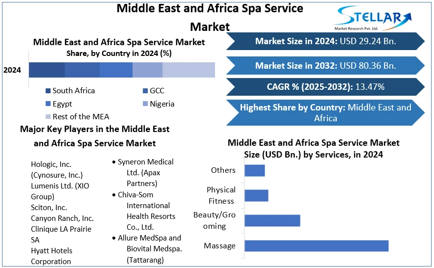 Middle East and Africa Spa Service Market snapshot