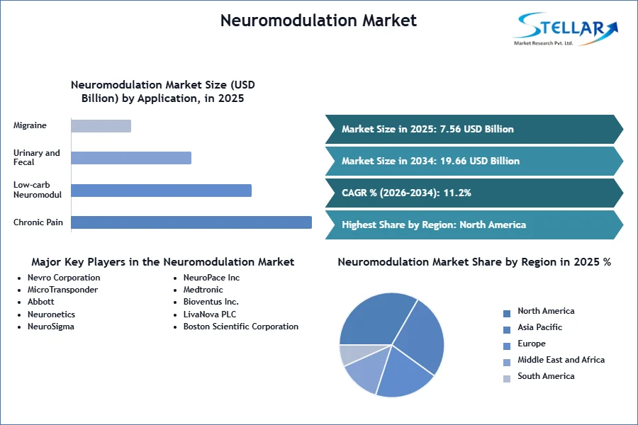 Neuromodulation 시장 SMR 스냅 샷