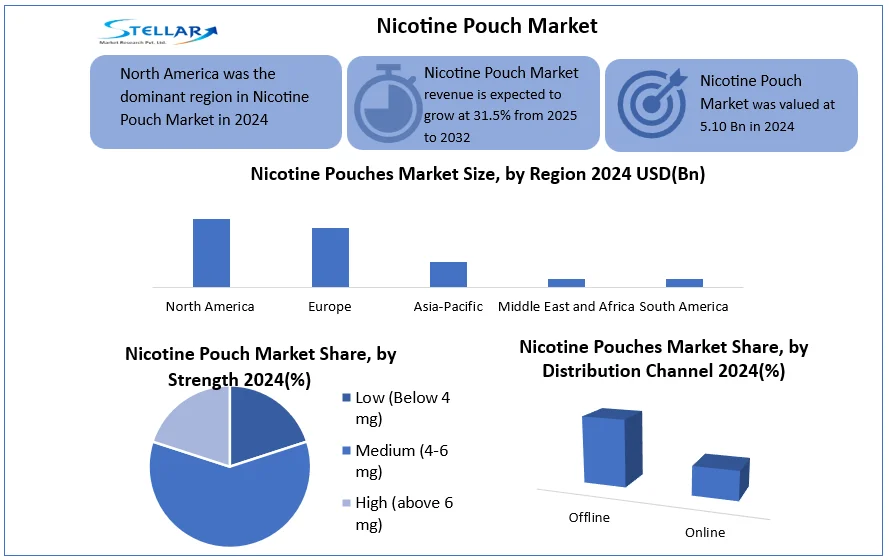 Nicotine Pouch Market snapshot 