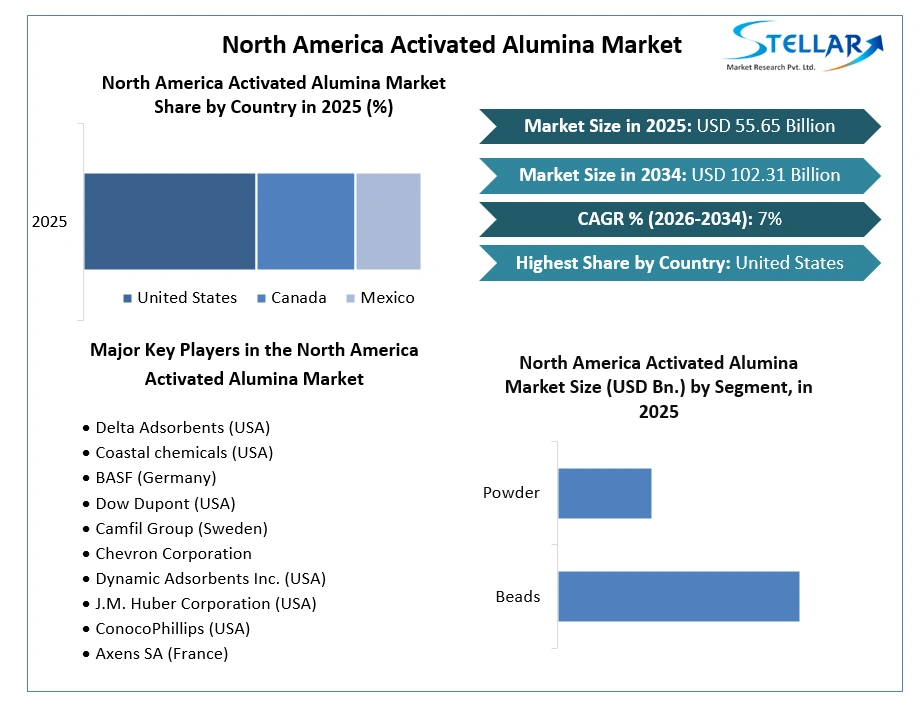 North America Activated Alumina Market