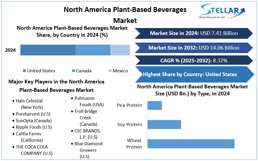 North America Plant-Based Beverages Market cagr