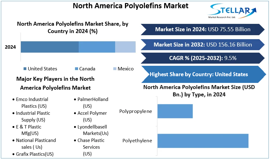 North America Polyolefins Market cagr