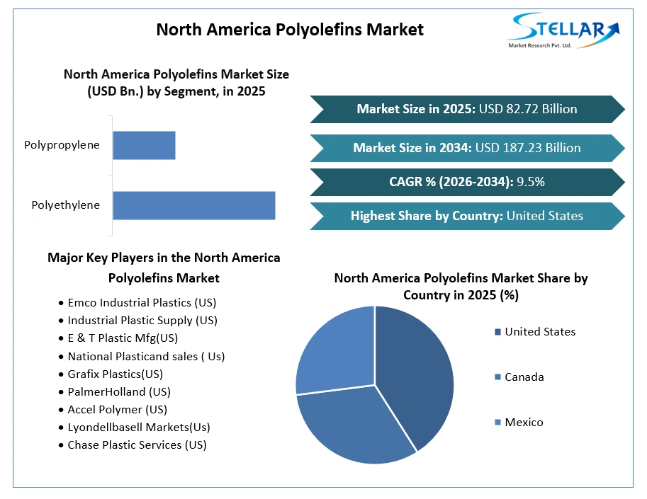 North America Polyolefins Market