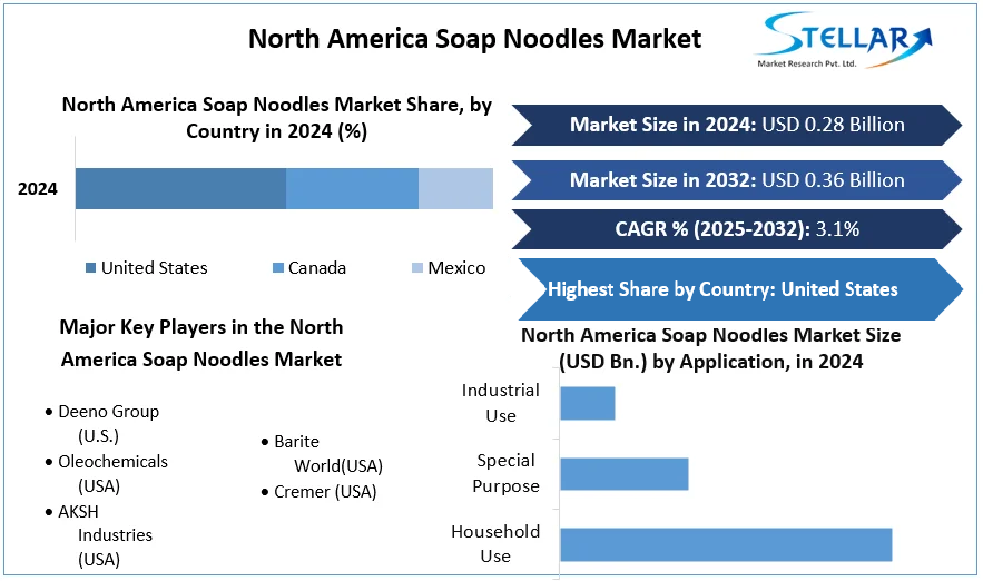 North America Soap Noodles Market cagr