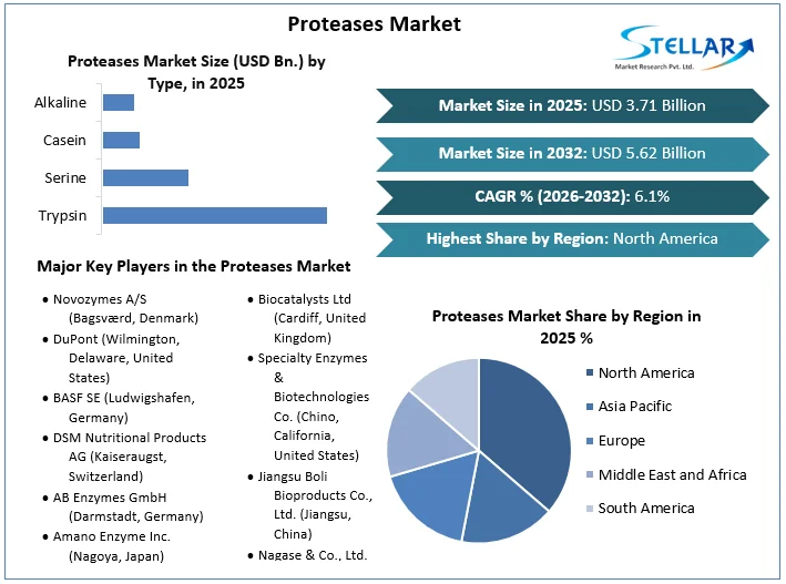 Proteases 市場概要