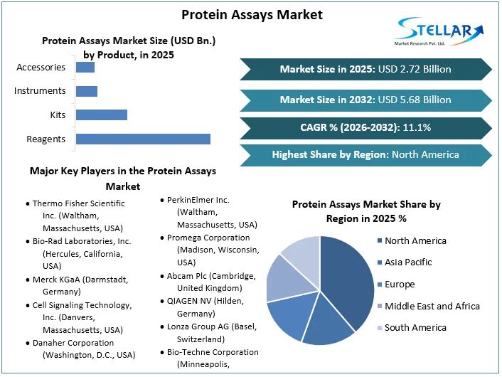 Protein Assays 시장 개요
