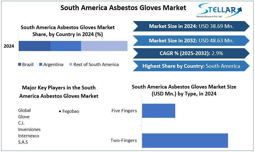 South America Asbestos Gloves Market snapshot