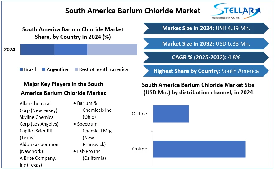 South America Barium Chloride Market snapshot