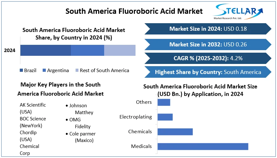 South America Fluoroboric Acid Market snapshot