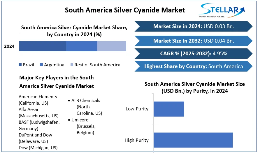 South America Silver Cyanide Market snapshot