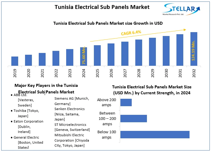 Tunisia Electrical Sub Panels Market snapshot