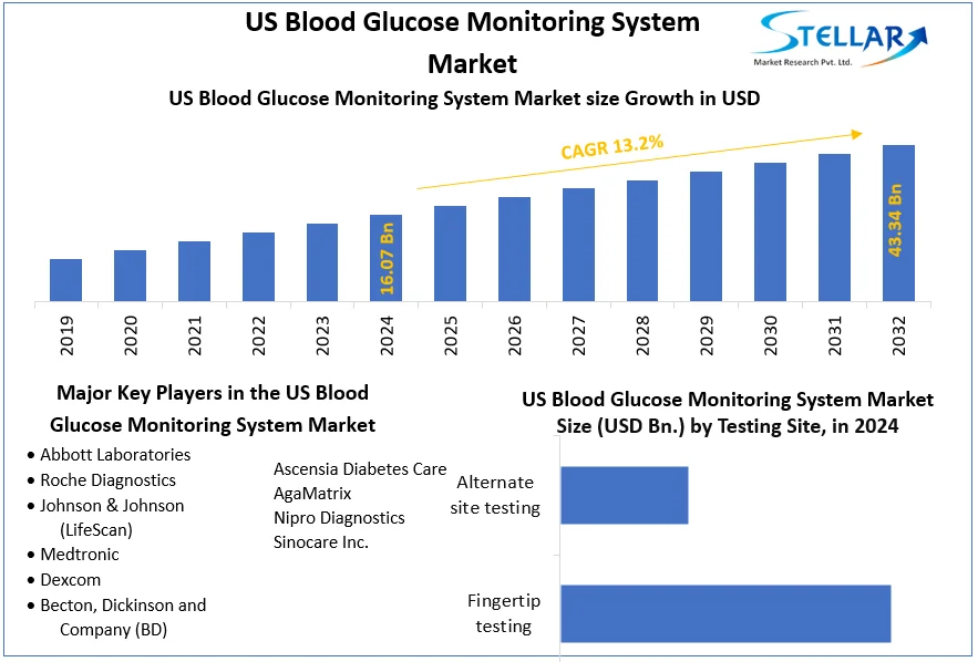 US Blood Glucose Monitoring System Market snapshot