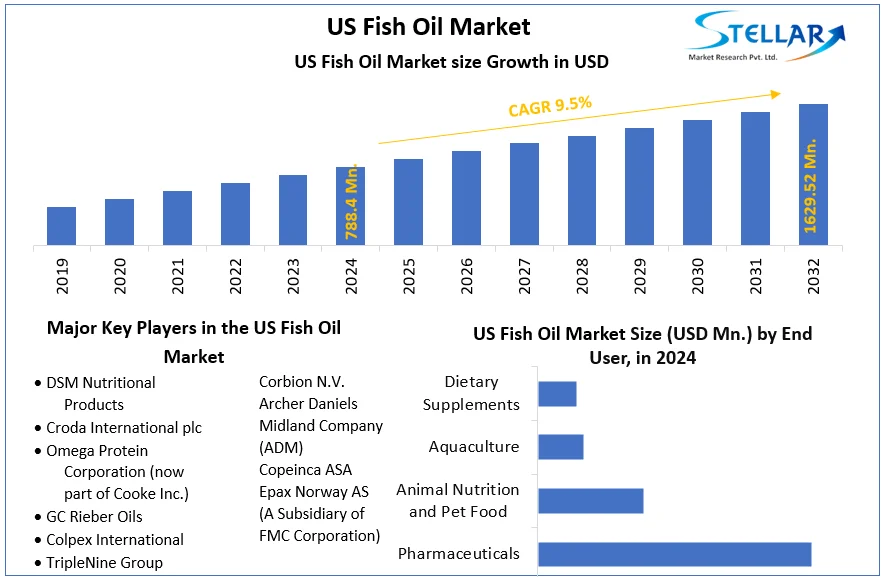US Fish Oil Market snapshot