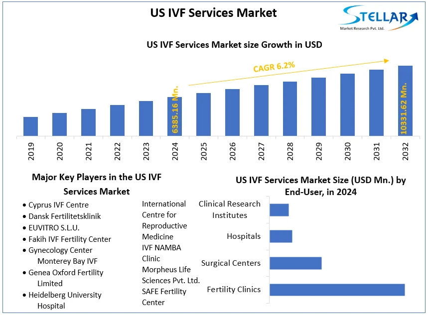 US IVF Services Market snapshot